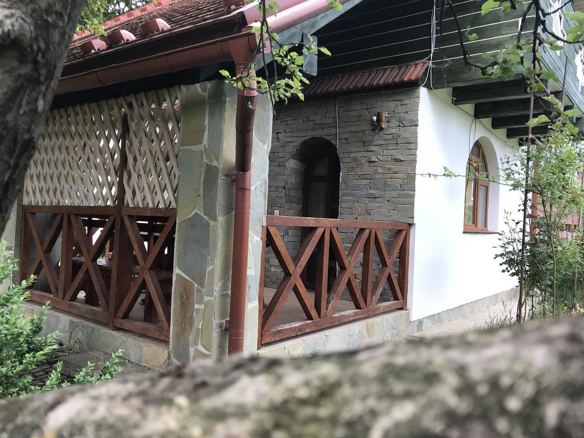 Cottage Shchaslyvyi Γιαρέμτσε Εξωτερικό φωτογραφία
